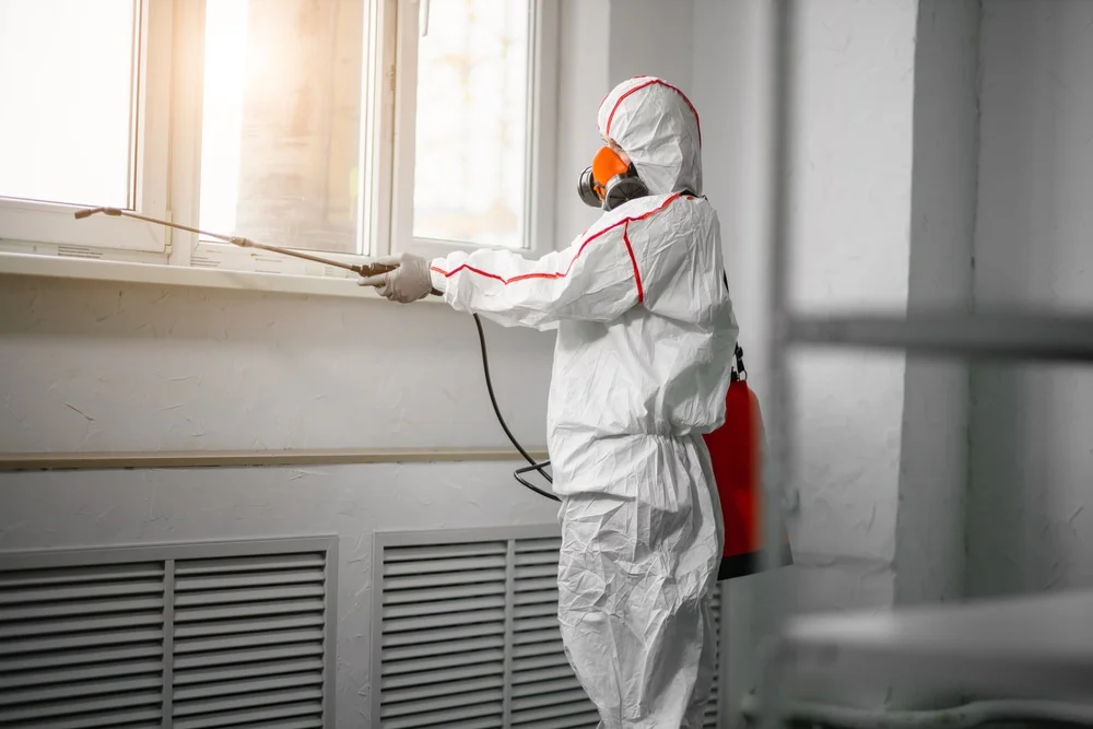 Professional mold remediation services in Italy, TX